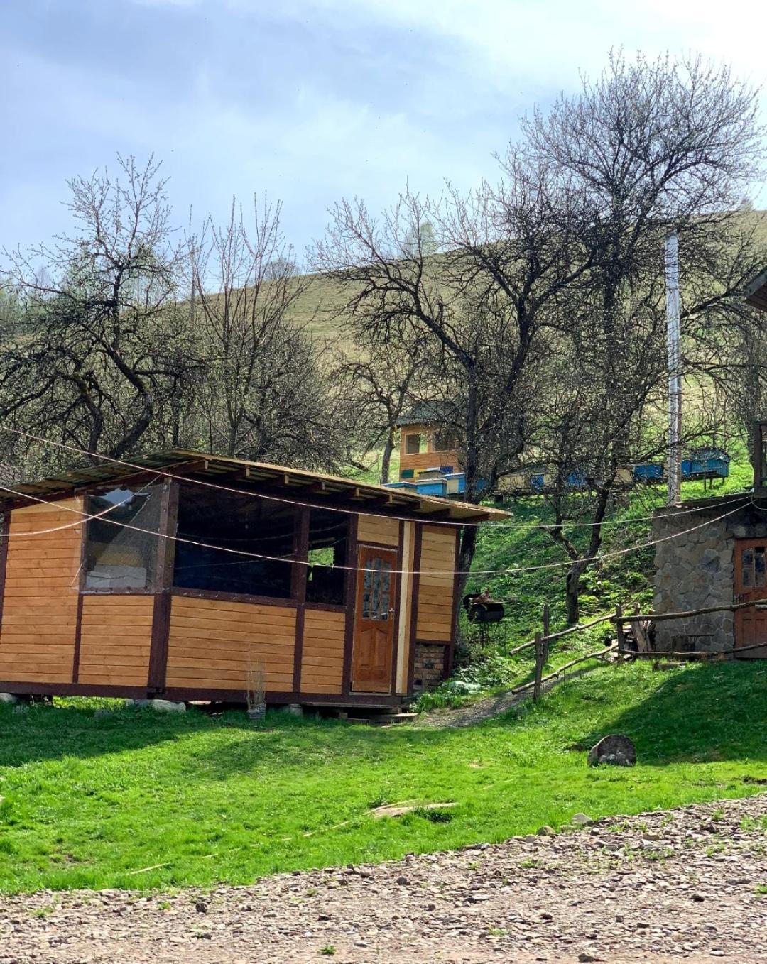 Smerekova Hata Oryavchyk Exterior foto